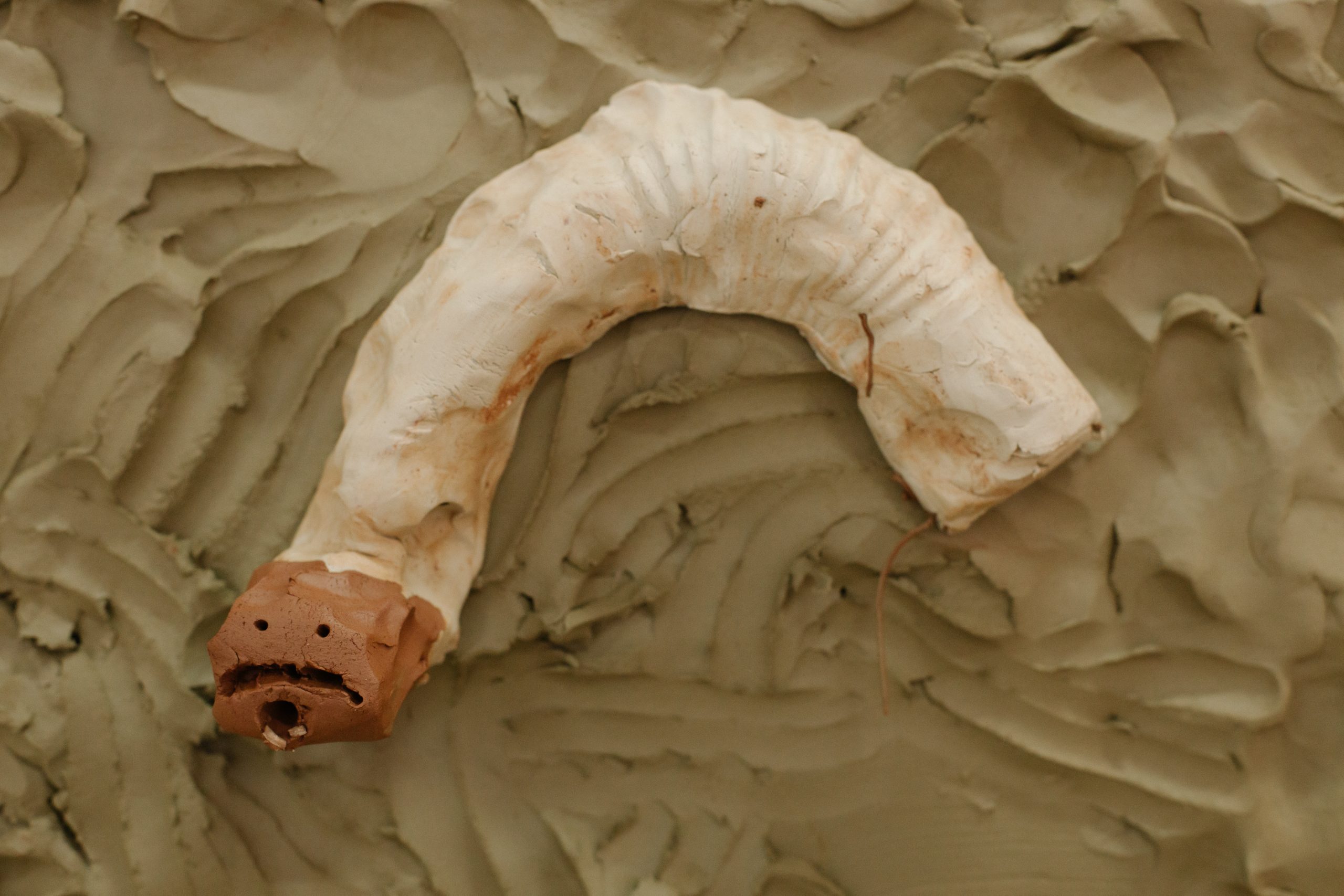 A white clay worm-like creation against a brown clay background